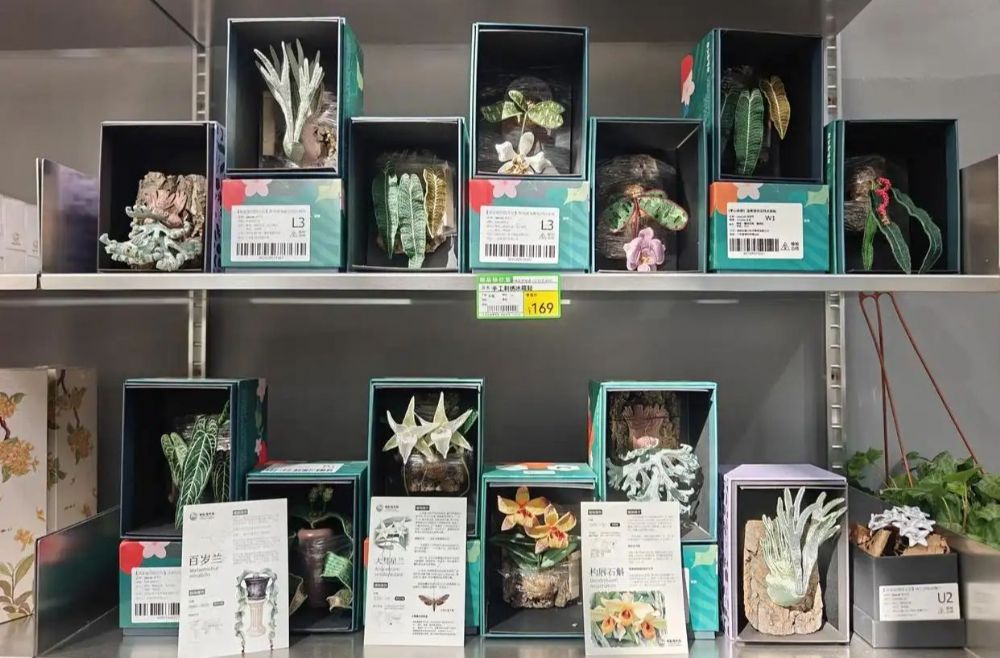 赏花看展淘文创！国家植物园邀您共享“一站式”春日快乐